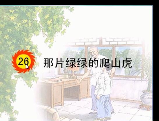 绿片在线观看,揭秘神秘绿片世界